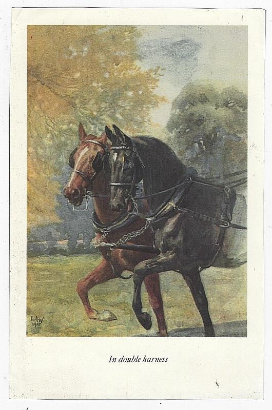 IN DOUBLE HARNESS LUCY KEMP-WELCH BLACK BEAUTY ILLUSTRATION