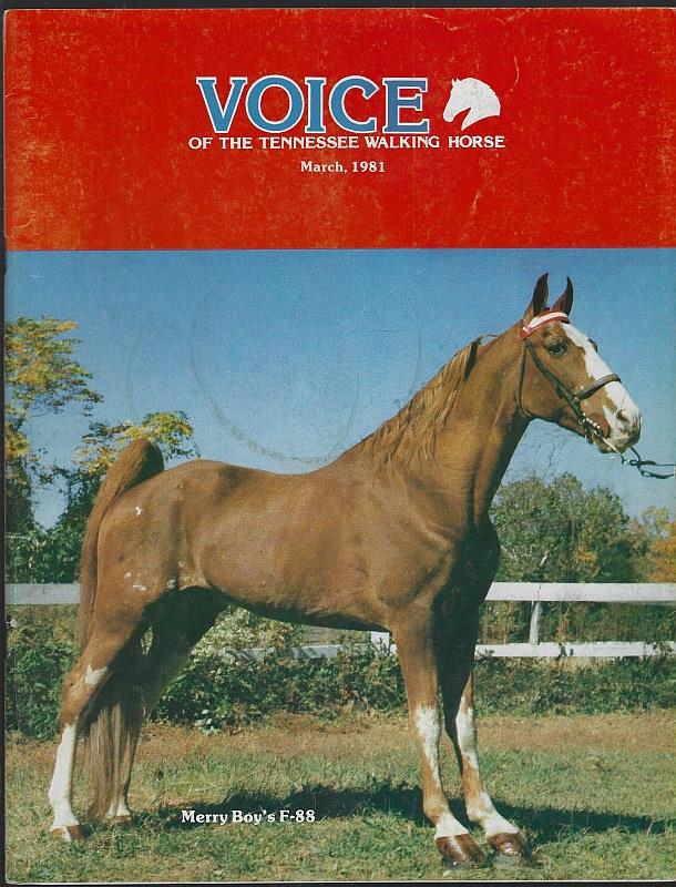 VOICE OF THE TENNESSEE WALKING HORSE MAGAZINE MARCH 1981