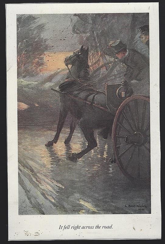 IT FELL RIGHT ACROSS THE ROAD LUCY KEMP-WELCH BLACK BEAUTY ILLUSTRATION