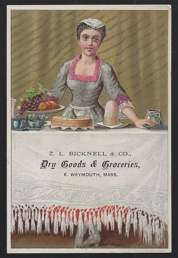 VICTORIAN TRADE CARD FOR Z. L. BICKNELL DRY GOODS WITH LOVELY LADY