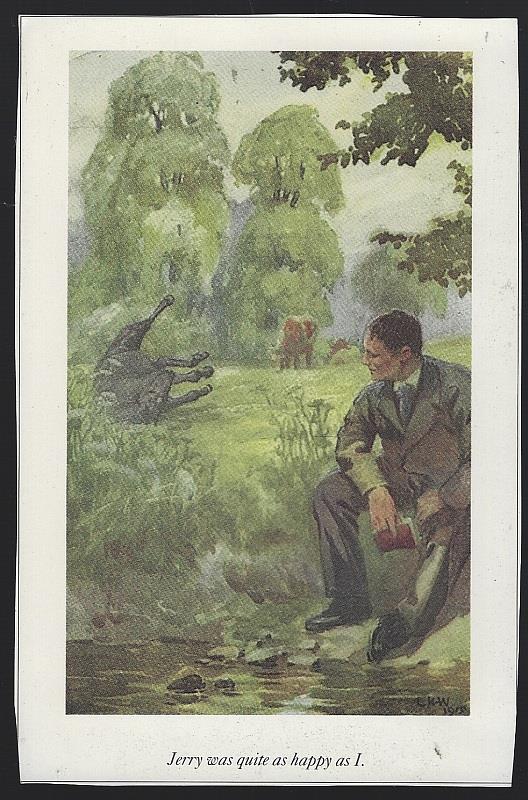 JERRY WAS QUITE AS HAPPY AS I LUCY KEMP-WELCH BLACK BEAUTY ILLUSTRATION
