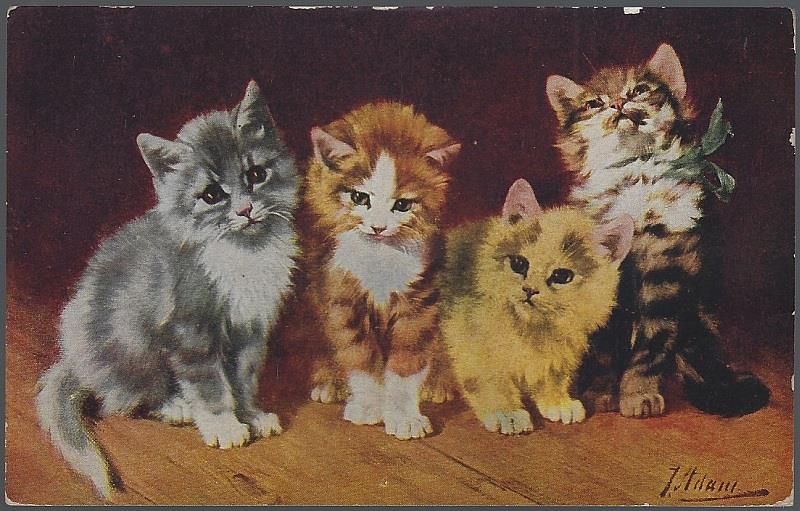 FOUR KITTENS