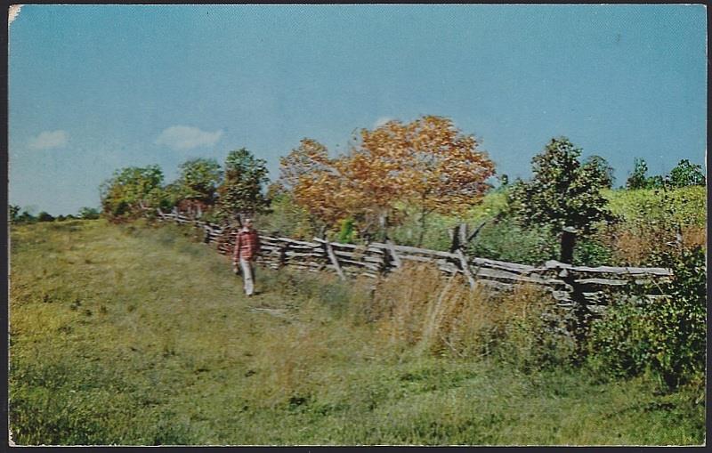 FALL SCENE OZARK HILLS