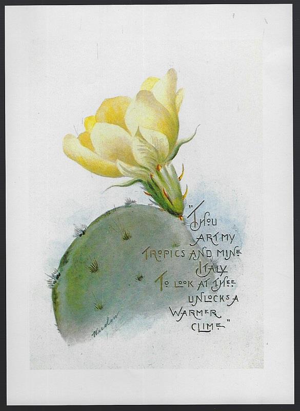 JAMES RUSSELL POEM AND CACTUS WITH YELLOW FLOWER PRINT