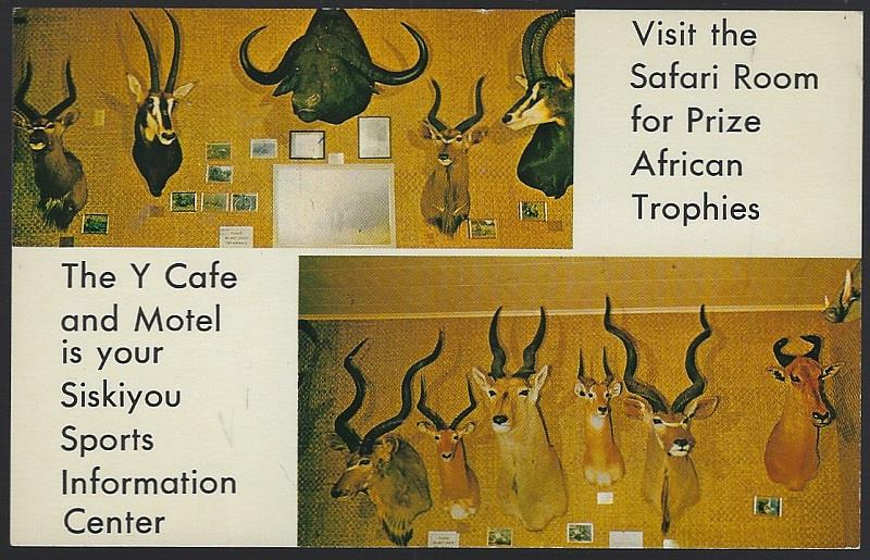 Y CAFE AND MOTEL, WEED, CALIFORNIA