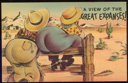 Image for COMIC POSTCARD OF VIEW OF THE GREAT EXPANSES OUT WEST