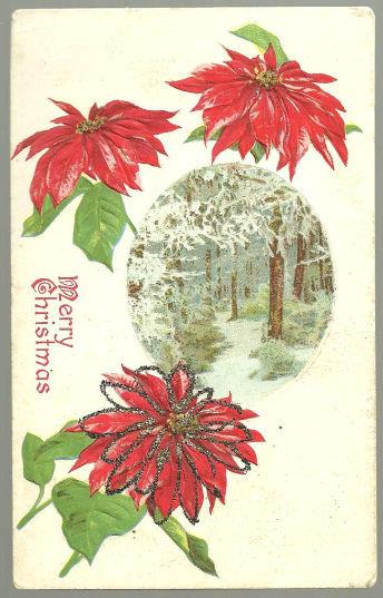 Postcard - Merry Christmas Postcard with Poinsettias and Trees