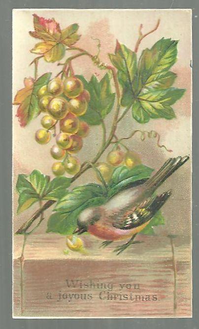 Christmas - Victorian Joyous Christmas Card with Robin