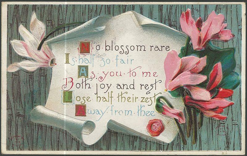 Postcard - Postcard with Pink Flowers, No Blossom Rare