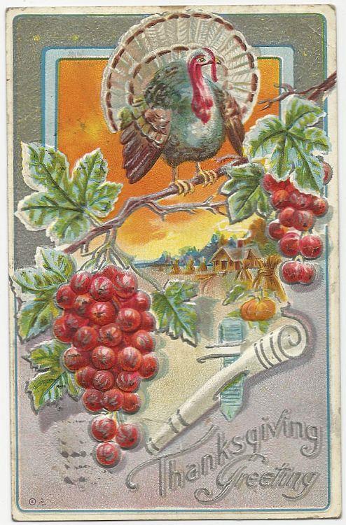 Postcard - Thanksgiving Greetings Postcard with with Turkey on Branch