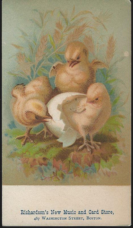 Advertisement - Victorian Trade Card for Richardson's New Music and Card Store with Chicks