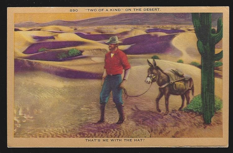 Postcard - Western Comic Postcard of Two of a Kind, a Man and His Donkey