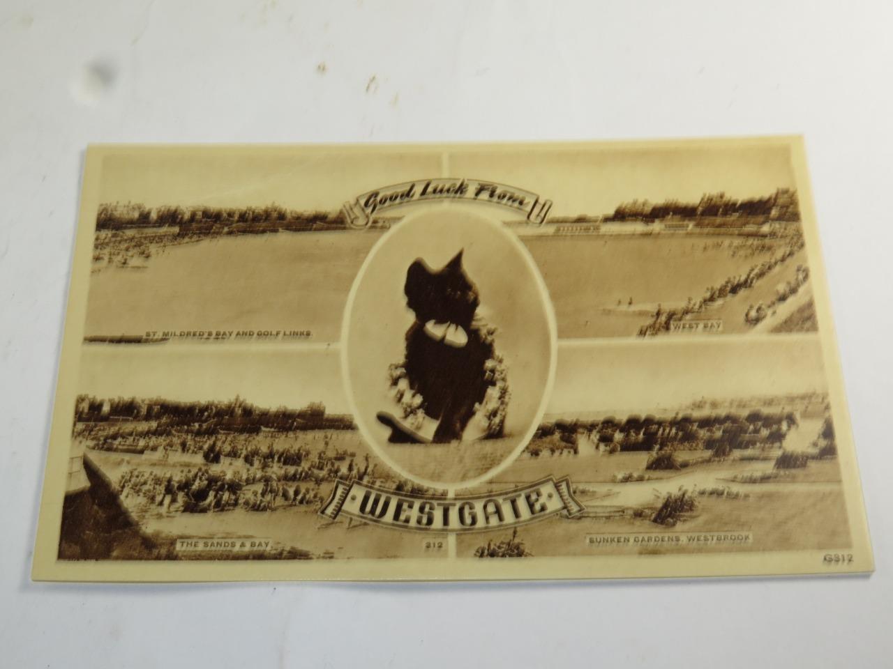 Picture 7 of 13