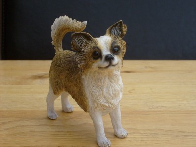 Gorgeous Small Leonardo Long Haired Chihuahua Ornament Boxed Ebay