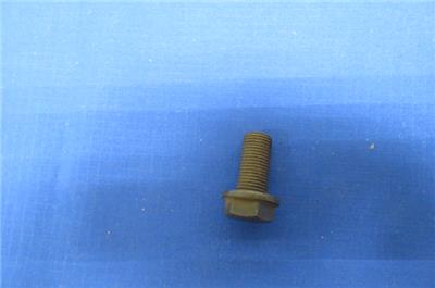 1129535764_tp.jpg