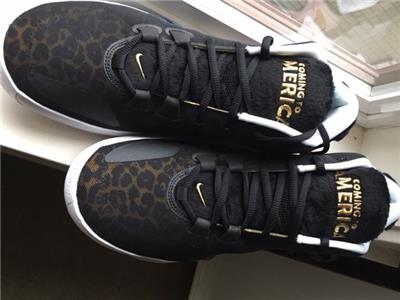 giannis shoes coming to america