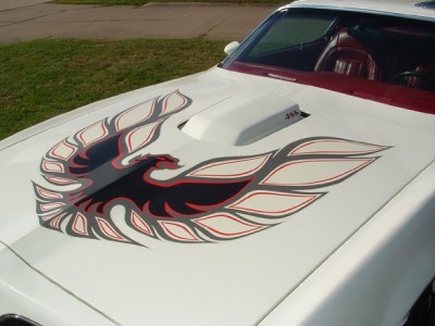 1976-1978 Firebird Trans Am Jack Instruction Decal DT0053 – The Parts Place Inc