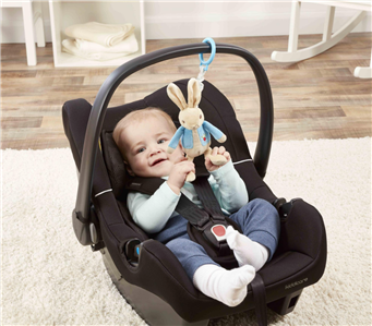 peter rabbit car seat toy