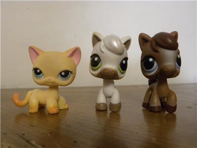 lps ranch cat
