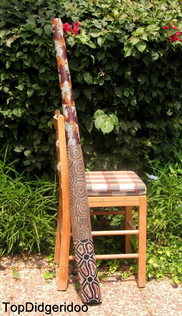 Front Side of the Didgeridoo