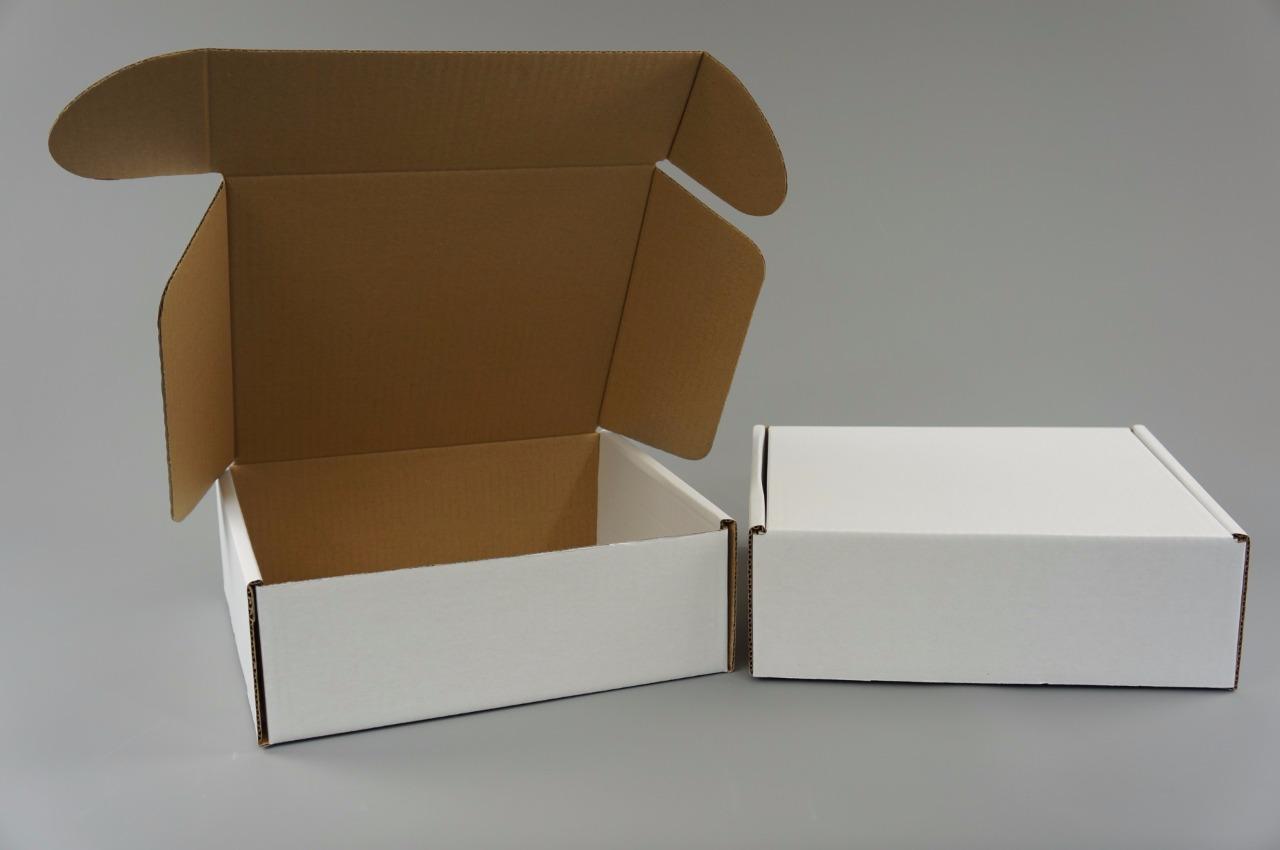 50 White Postal Cardboard Boxes Mailing Shipping Cartons Small Size