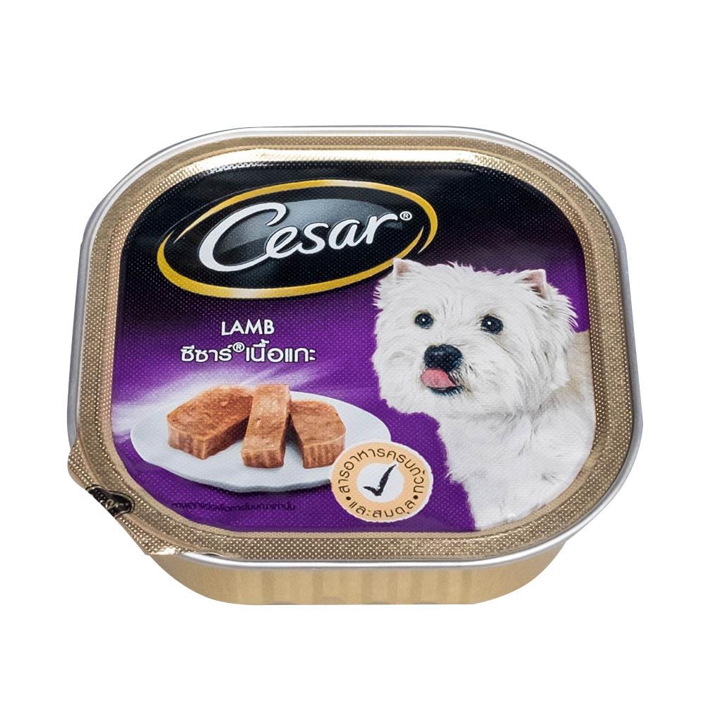 cesars wet dog food