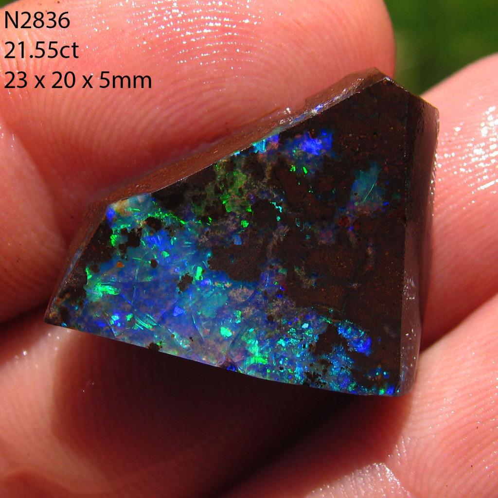 Rough Boulder Opal 21.55ct 100 Australian Natural Rough Opal (Has