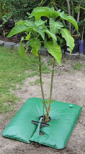 Eco Bag Tree Watering System X2 Enviromentally Friendly Water Saving Eco Bag Tree Watering System X2 Enviromentally Friendly