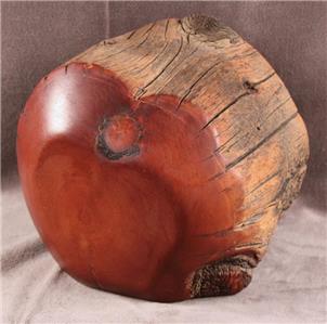 BRISTLECONE PINE COMPANY ジュエリーボックス Bristlecone Pine Company, Romeo, CO 2 Section 1 Drawer