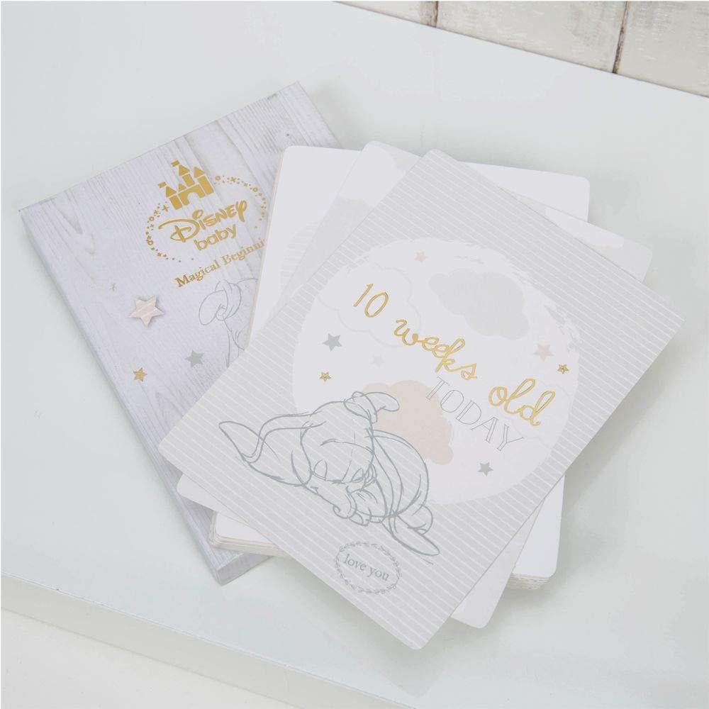 Baby 30 Milestone Cards With Foil Baby Shower Gift CG1535