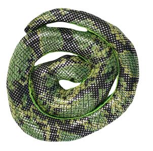 & nature description approximately 6 inches from head to tail