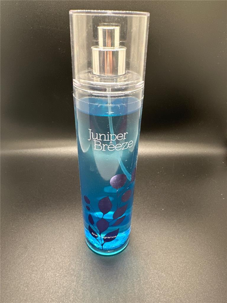Bath & Body Works im Ruhestand Duft Nebel Düfte Ihrer Wahl Neu - Bild 17 von 21