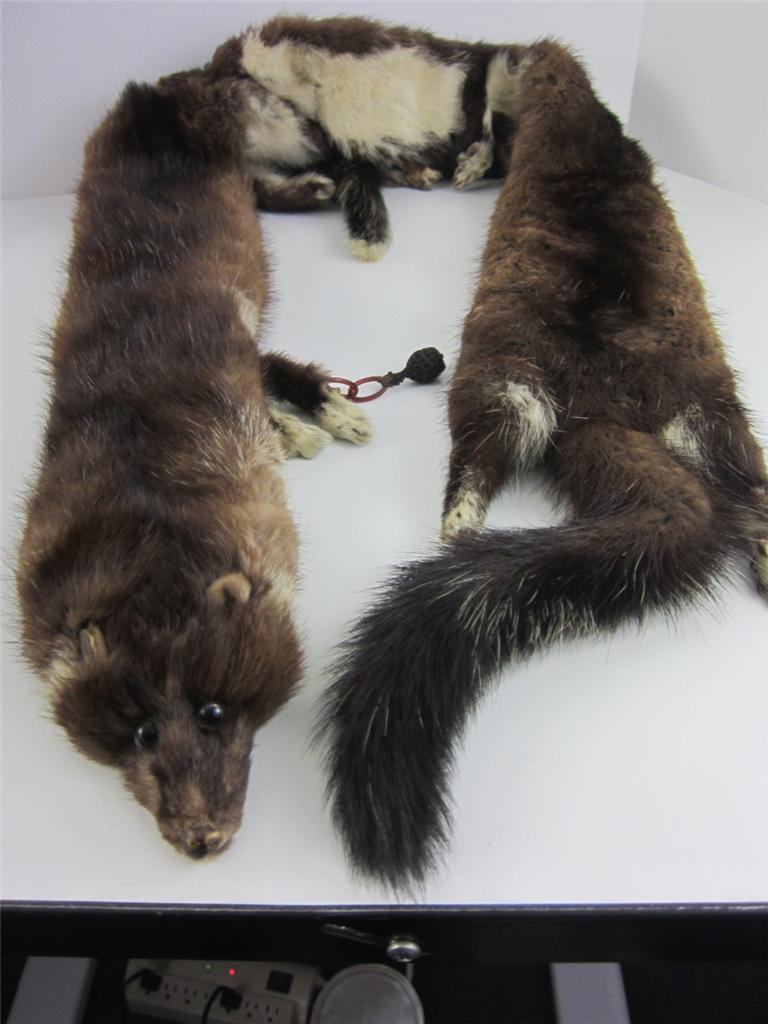 White Fur Stole >> Vintage Mink Scarf Stole Collar 2 Pelt 51" Luxurious Brown ... White Fur Stole >> Vintage Mink Scarf Stole Collar 2 Pelt 51" Luxurious Brown ...