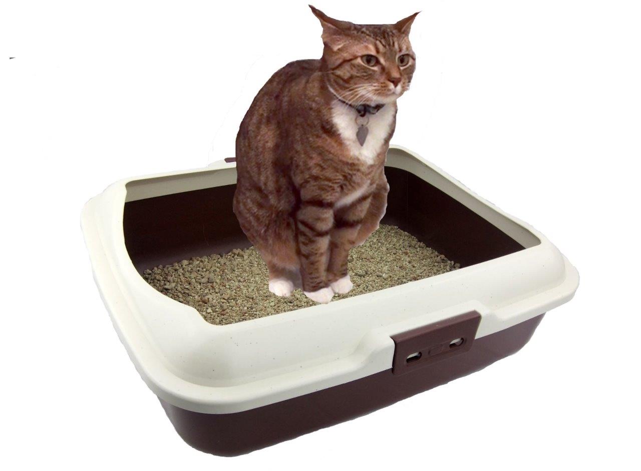 Cat Litter Box Tray With Rim Non Spill Portable Kitten Toilet Large