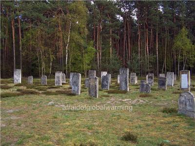 Extermination camps essay 08 picture