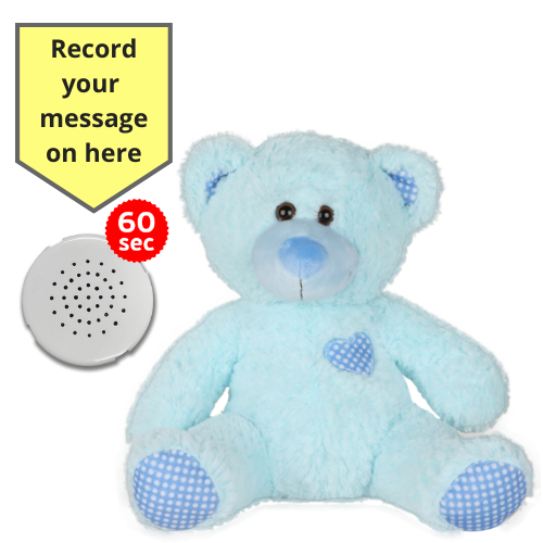 Baby Heartbeat Teddy Bear with Gift Box or Record a Message Bear 25cm 10