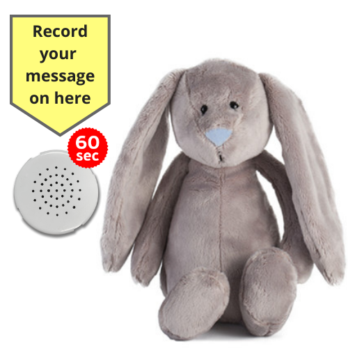 Baby Heartbeat Teddy Animal with Gift Box - Record a Message in a Bear- 25cm/10" - Picture 8 of 26