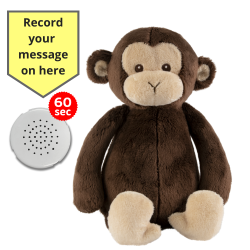 Baby Heartbeat Teddy Animal with Gift Box - Record a Message in a Bear- 25cm/10" - Picture 21 of 26