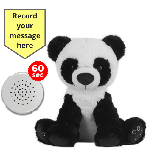 Baby Heartbeat Teddy Animal with Gift Box - Record a Message in a Bear- 25cm/10" - Picture 18 of 26