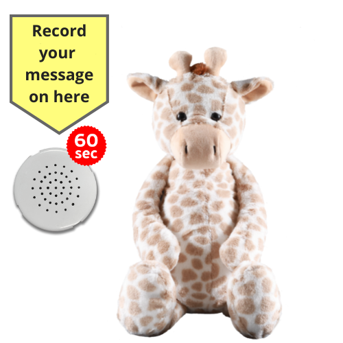 Baby Heartbeat Teddy Animal with Gift Box - Record a Message in a Bear- 25cm/10" - Picture 20 of 26