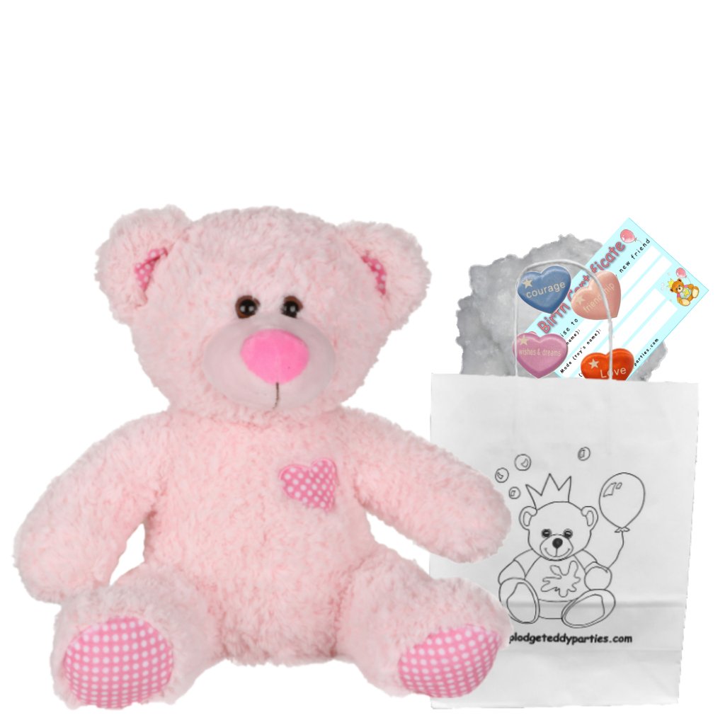 construir un oso de peluche - KIT DE FIESTA PARA HACER OSITOS DE PELUCHE - 25 cm/10" - regalo o fiesta - Imagen 8 de 13