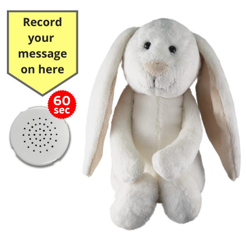 Baby Heartbeat Teddy Animal with Gift Box - Record a Message in a Bear- 25cm/10" - Picture 7 of 26