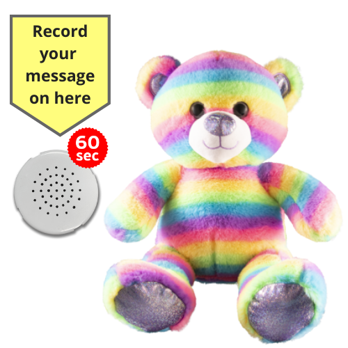 Record baby's heartbeat build clearance bear