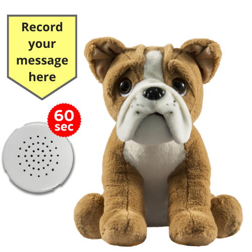 Baby Heartbeat Teddy Animal with Gift Box - Record a Message in a Bear- 25cm/10" - Picture 12 of 26