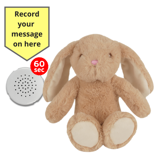 Baby Heartbeat Teddy Animal with Gift Box - Record a Message in a Bear- 25cm/10" - Picture 13 of 26