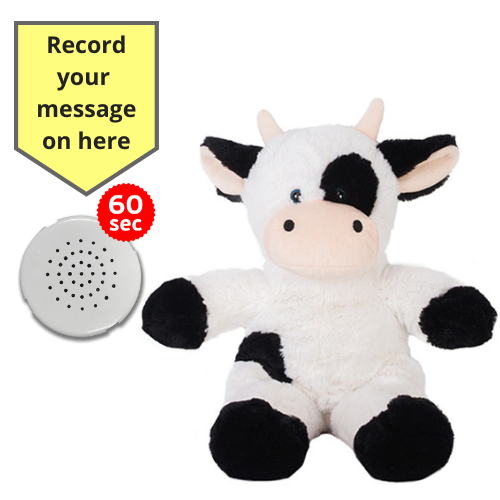 Baby Heartbeat Teddy Animal with Gift Box - Record a Message in a Bear- 25cm/10" - Picture 14 of 26