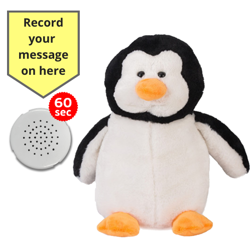 Baby Heartbeat Teddy Animal with Gift Box - Record a Message in a Bear- 25cm/10" - Picture 25 of 26
