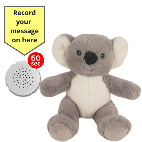 Baby Heartbeat Teddy Animal with Gift Box - Record a Message in a Bear- 25cm/10" - Picture 26 of 26