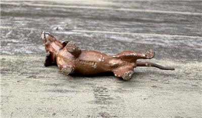 Austrian Vienna Bronze Dachshund Dog c1900 Antique Miniature Dog