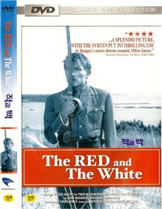 The Red and the White (1967) Miklós Jancsó DVD NEW *SAME DAY